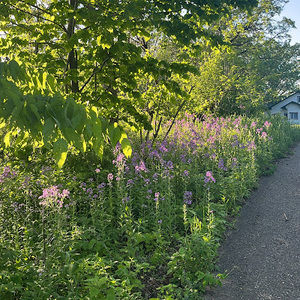 Meet your Posher, Jacob